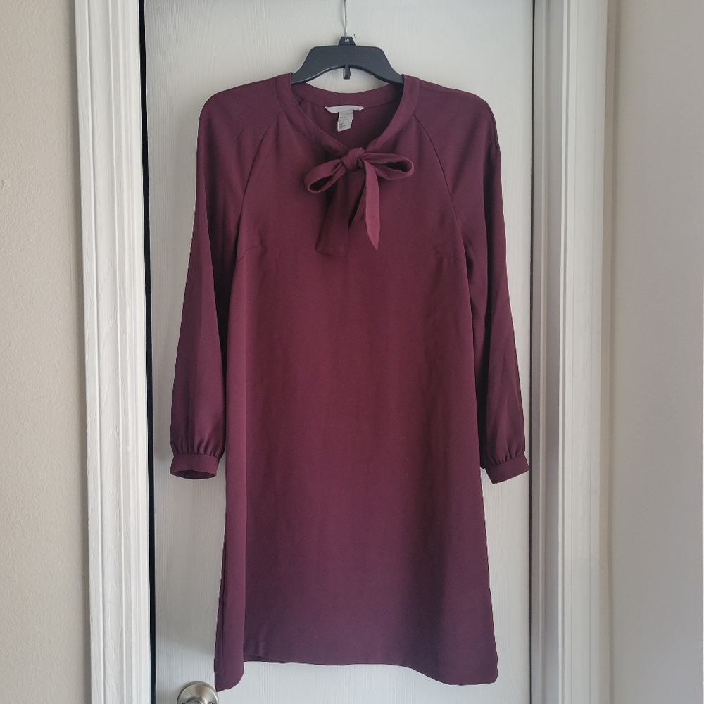 H&M Maroon Dress